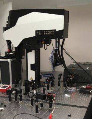 microscopio femto 2D galvo-scanner, 2 fotoni, multi-fotone, femtonics, neurscienze