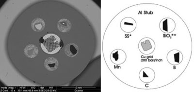 Elementi leggeri EM-Tec CXS-5C e standard di calibrazione EDS, 5 materiali più griglia TEM 200M su pin Stub