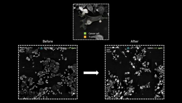 live cell imaging, nanolive, biologia