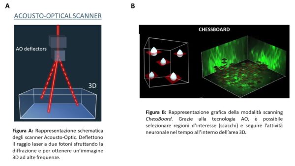 microscopio a 2 fotoni, cervello, neuroni
