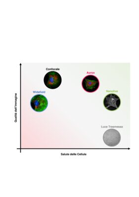 live cell imaging, nanolive, cellule, biologia