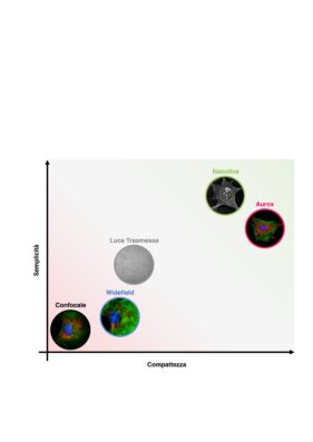 live cell imaging, nanolive, cellule, biologia