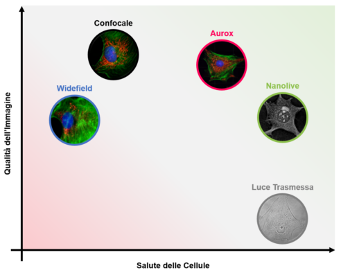 live cell imaging, nanolive, cellule, biologia