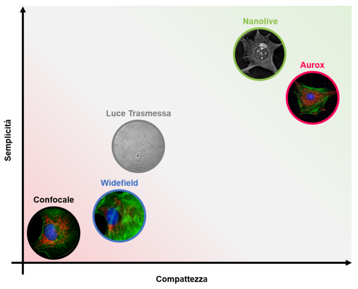 live cell imaging, nanolive, cellule, biologia