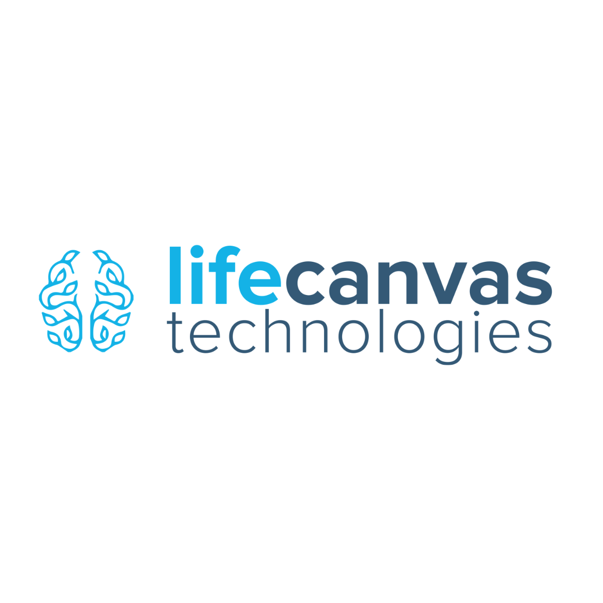 life canvas light sheet
