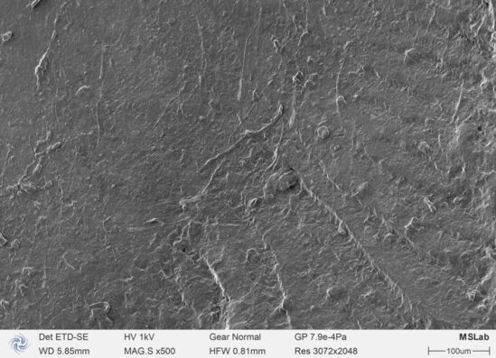 analisi SEM a bassa tensione con dati relativi alla carica e alla risoluzione dei campioni.