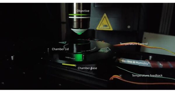 un incubatore per un microscopio a 2 fotoni