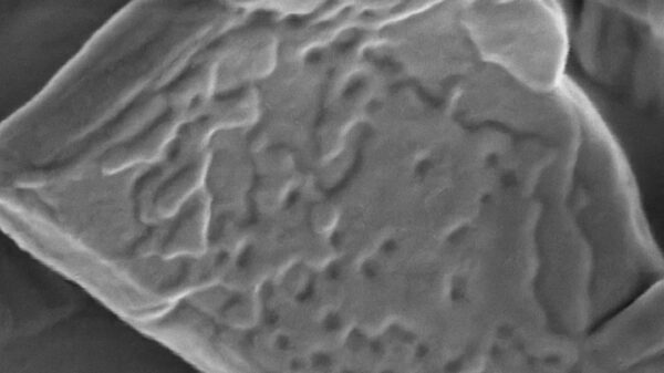 Caratterizzazione delle polveri farmaceutiche: analisi della superficie e dei pori per ottimizzare l'efficacia del farmaco.