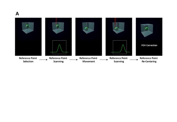 femtonics, motion correction, 2 fotoni, neuroscienze, organoidi