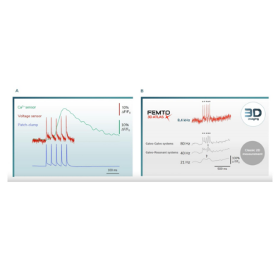 registrazione dei segnali di voltaggio e calcio ad altissima frequenza.