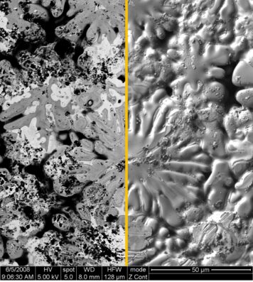 bse, backscattred, sem, microscopio elettronico, microscopio elettronico a scansione, sem, eds, detector, ciqtek, coxem