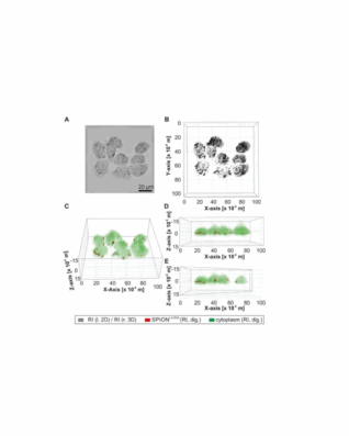confronto con segnale a fluorescenza per rilevare nanoparticelle.
