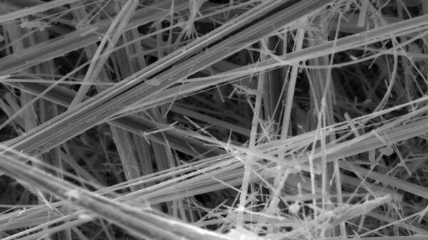 Analisi al microscopio SEM-EDS di fibre di amianto per la sicurezza ambientale