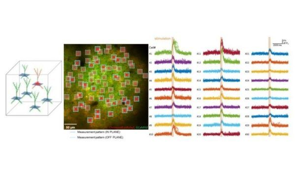 optogenetica, femtonics