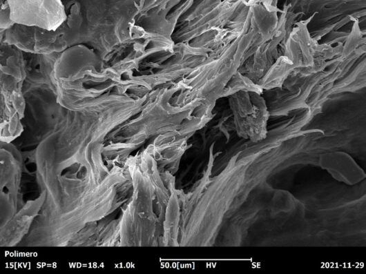 microscopia, microscopia elettronica, campioni,