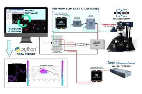 flim, bruker, fluorescence lifetime, microscopia