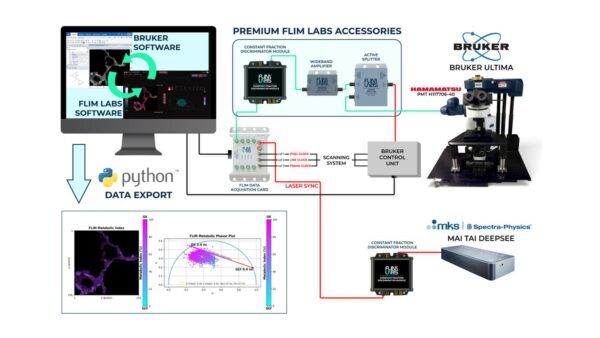 flim, bruker, fluorescence lifetime, microscopia