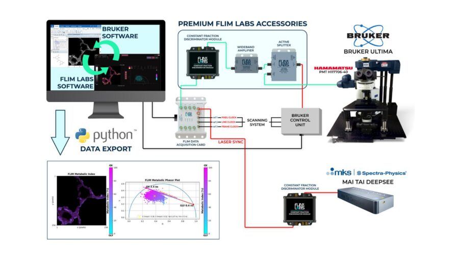 flim, bruker, fluorescence lifetime, microscopia