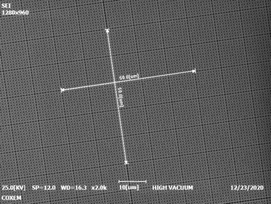 SEM, microscopio elettronico, microscopio elettronico a scansione, standard di calibrazione