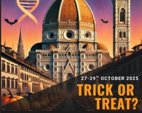 neuroscienze, cercello, neuroni, assoni, microscopia, microscopia elettronica, live-cell imagine, label-free