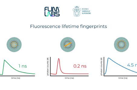 flim labs, fluorescence lifetime, flim labs, flash, drug delivery, farmacology