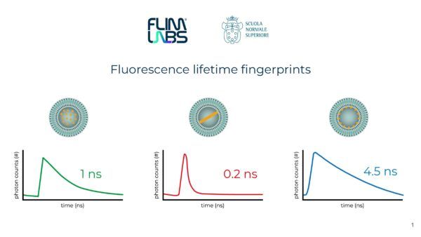 flim labs, fluorescence lifetime, flim labs, flash, drug delivery, farmacology