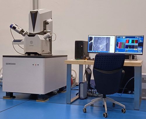 ciqtek, sem, microscopio elettronico, microscopia elettronica a scansione
