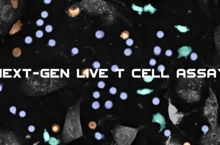 Nanolive, Live-Cell-Imaging, Label-Free, Biologia, Biotecnologie