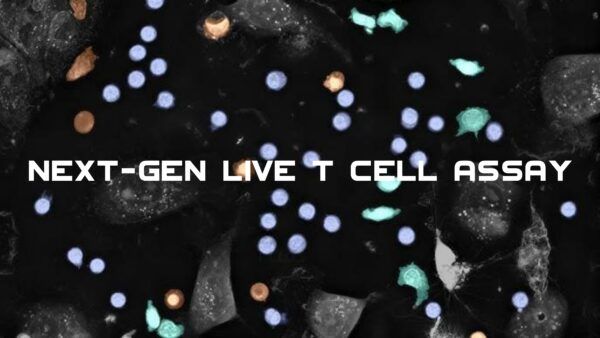Nanolive, Live-Cell-Imaging, Label-Free, Biologia, Biotecnologie