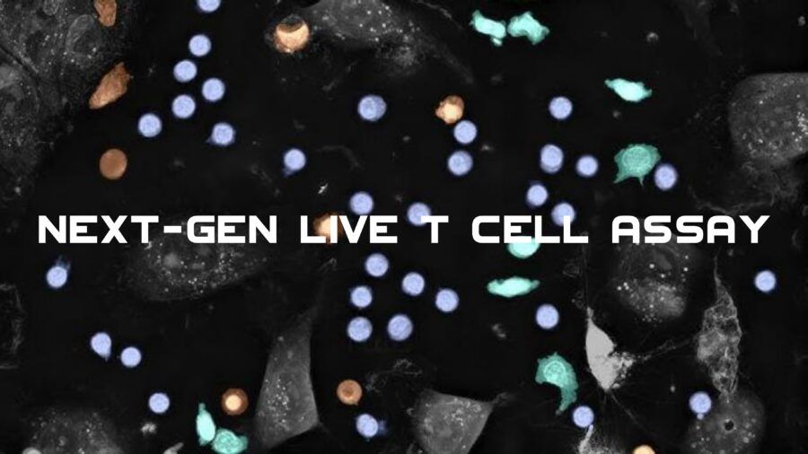 Nanolive, Live-Cell-Imaging, Label-Free, Biologia, Biotecnologie