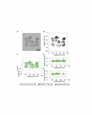 confronto con segnale a fluorescenza per rilevare nanoparticelle.