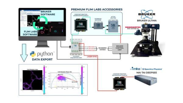 flim, bruker, fluorescence lifetime, microscopia
