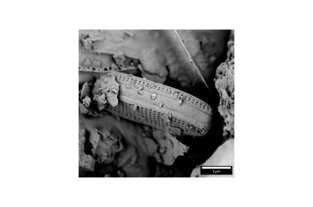 TEM delong instruments STEM