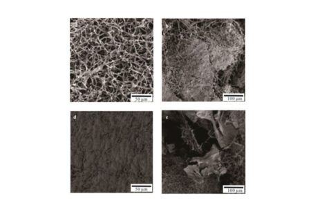 preparativa dei campioni SEM, microscopio elettronico a scansione, sem