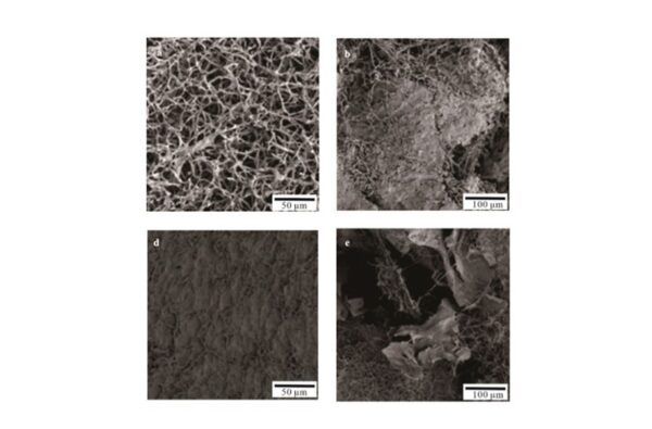 preparativa dei campioni SEM, microscopio elettronico a scansione, sem