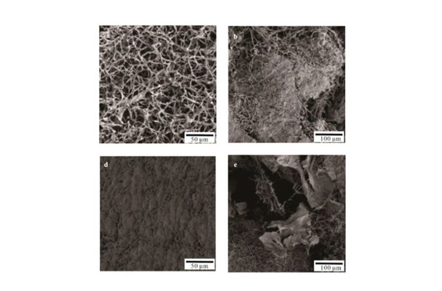 preparativa dei campioni SEM, microscopio elettronico a scansione, sem
