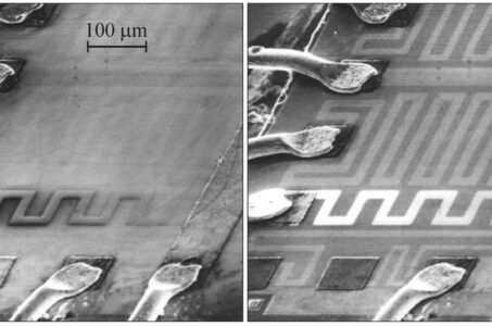 SEM microscopia elettronica microscopio elettronico