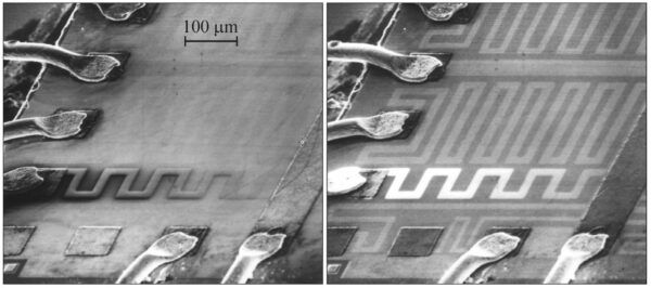 SEM microscopia elettronica microscopio elettronico