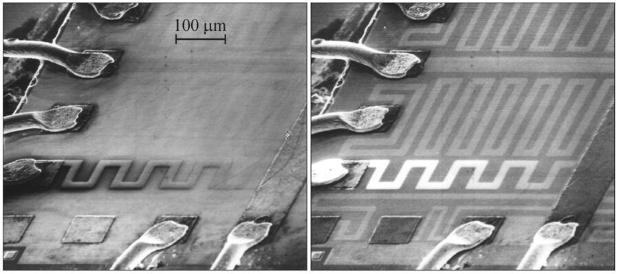 SEM microscopia elettronica microscopio elettronico