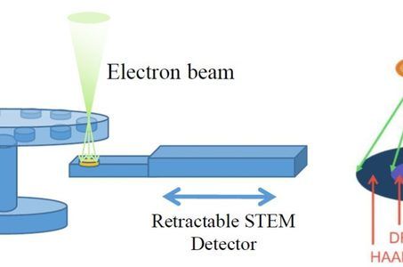 stem sem feg, microscopio elettronico a scansione
