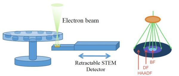 stem sem feg, microscopio elettronico a scansione