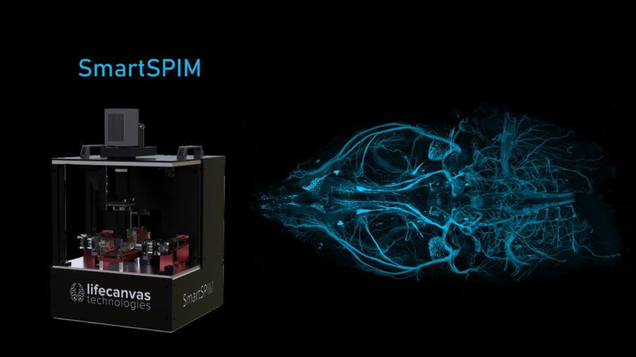 lightsheet, lifecanvas, organoidi, campioni biologici, biologia, microscopia, imaging
