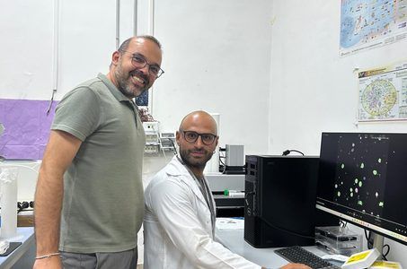 uni Napoli vanvitellli