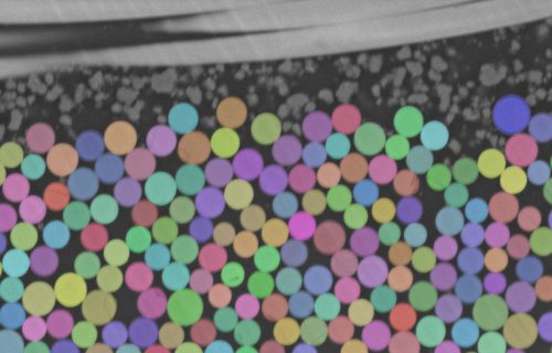media cybernetics, mediacy, immagini, elaborazione di immagini, scienze dei materiali, scienze della vita, microscopia, imaging, AI, IA, Intelligenza artificiale, Machine learning