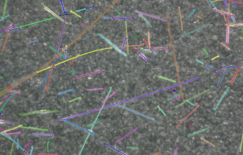 media cybernetics, mediacy, immagini, elaborazione di immagini, scienze dei materiali, scienze della vita, microscopia, imaging, AI, IA, Intelligenza artificiale, Machine learning