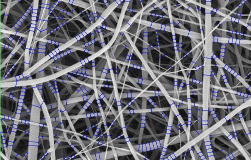media cybernetics, mediacy, immagini, elaborazione di immagini, scienze dei materiali, scienze della vita, microscopia, imaging, AI, IA, Intelligenza artificiale, Machine learning