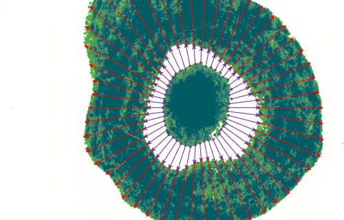 media cybernetics, mediacy, immagini, elaborazione di immagini, scienze dei materiali, scienze della vita, microscopia, imaging, AI, IA, Intelligenza artificiale, Machine learning